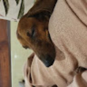 Meet your Posher, Vicki